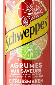 SCHWEPPES Agrum 33cl